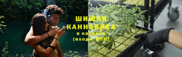 ПСИЛОЦИБИНОВЫЕ ГРИБЫ Аркадак