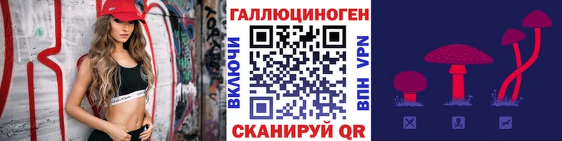 дарнет шоп  Гдов  Псилоцибиновые грибы MAGIC MUSHROOMS 